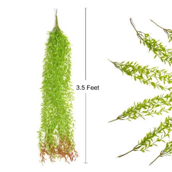 🌼 - Picture 3 of 3